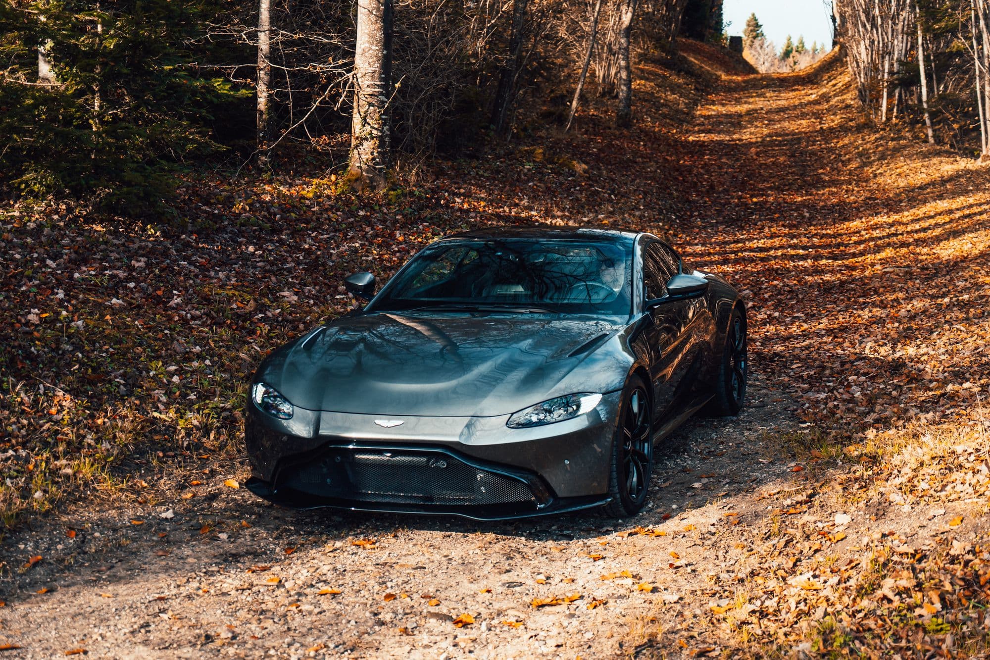 Grey Aston Martin sports car on a leaf-covered forest road