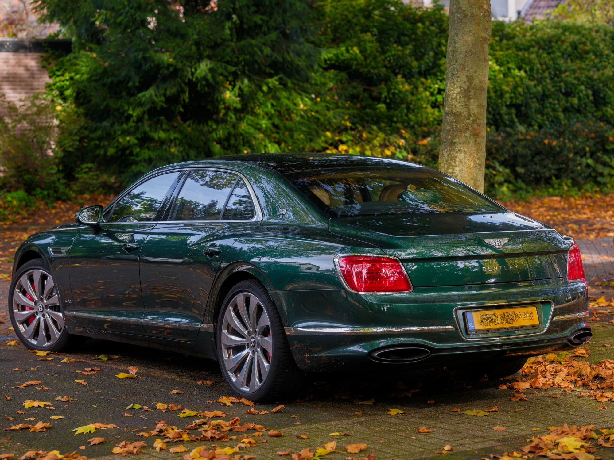 Green Bentley Flying Spur parked beneath autumn trees
