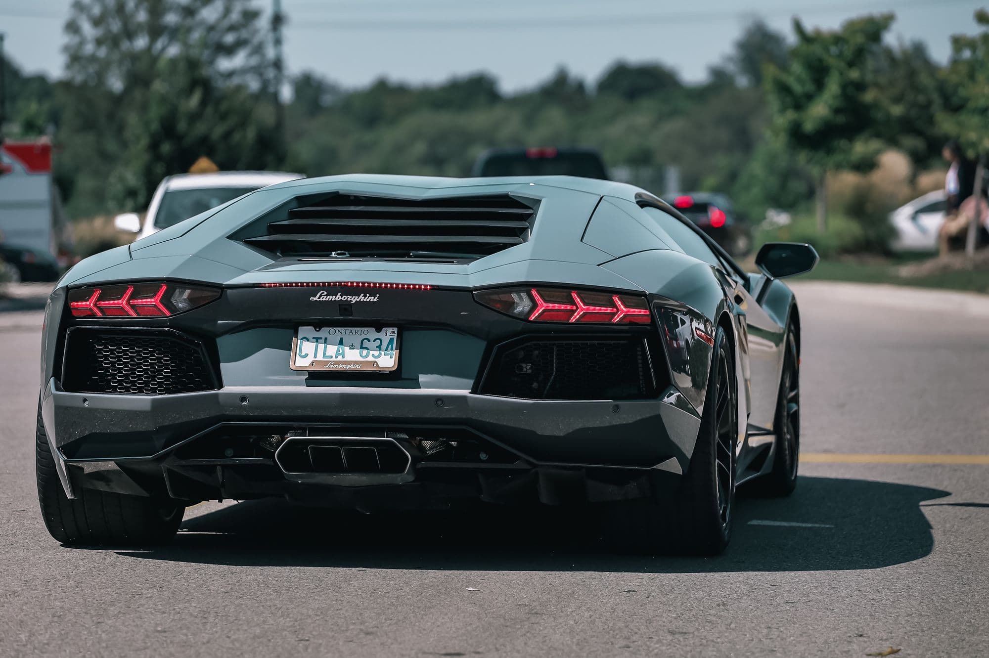 Rear view of a gray Lamborghini Aventador driving down a tree-lined road